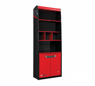 Champion Racer Bookcase